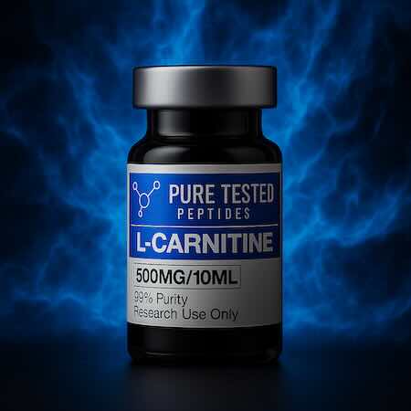 L-Carnitine 500mg/ml - Image 2